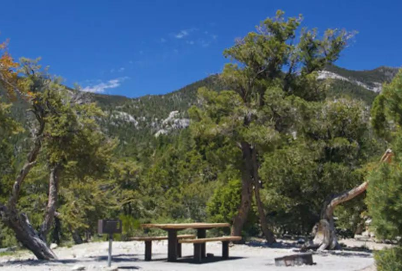 Hilltop Campground, Humboldt Toiyabe, CA: 7 Photos