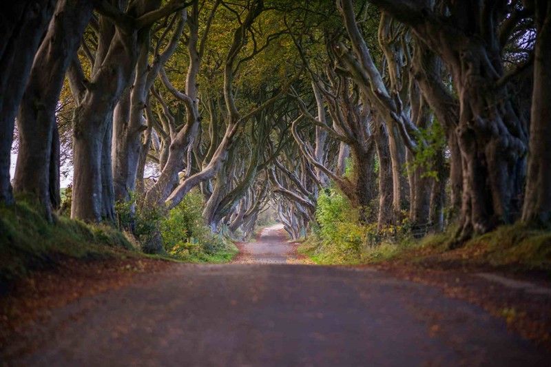 10 Free Things That You Can Do In Ireland