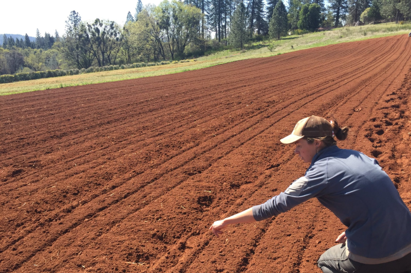 10 Lovely Farms To Visit In Las Vegas Nevada