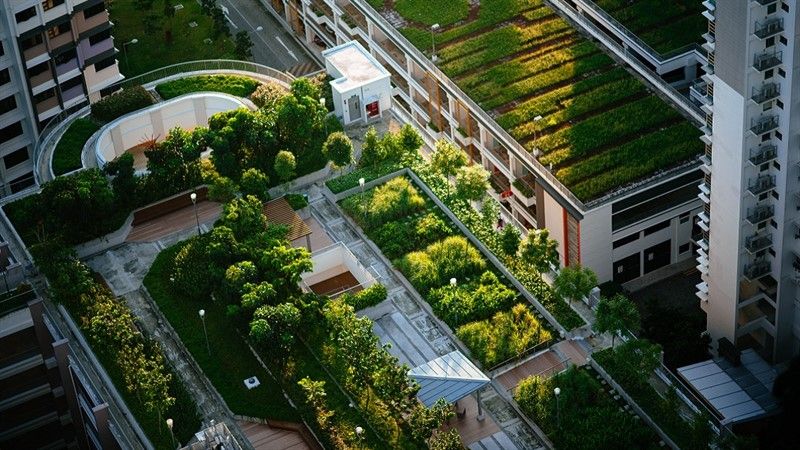 5 Top Green Roof's In Toronto, Canada