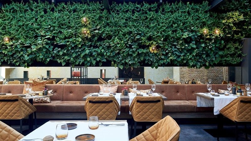 10 Vegan Restaurants in Muscat, Oman