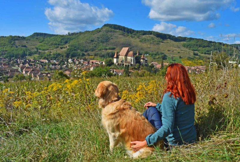 Things to do with your pet in Tallinn